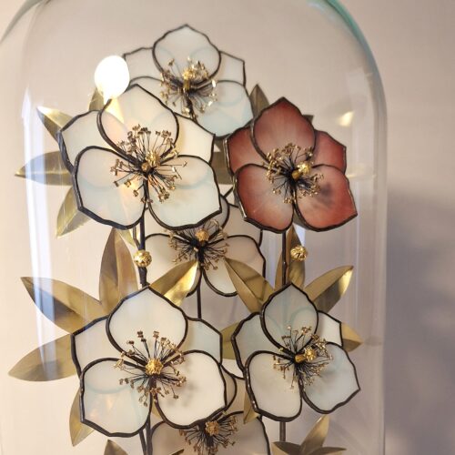 Hellebores